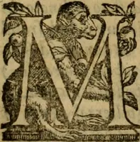 Picture 109 of 141 from L'historia ecclesiastica della rivolvzion d'Inghilterra : divisa in libri qvattro, ne' qvali si tratta di qvello ch'e avvenvto in quell'isola, da chè Arrigo Ottauo cominciò à pensare di ripudiar Caterina sua legittima moglie, infino à quest'vltimi anni di Lisabetta, vltima sua figliuola (1594), leaf 578