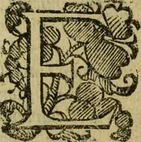 An illustration from L'historia ecclesiastica della rivolvzion d'Inghilterra : divisa in libri qvattro, ne' qvali si tratta di qvello ch'e avvenvto in quell'isola, da chè Arrigo Ottauo cominciò à pensare di ripudiar Caterina sua legittima moglie, infino à quest'vltimi anni di Lisabetta, vltima sua figliuola (1594)