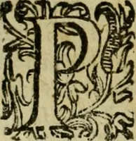 Picture 122 of 141 from L'historia ecclesiastica della rivolvzion d'Inghilterra : divisa in libri qvattro, ne' qvali si tratta di qvello ch'e avvenvto in quell'isola, da chè Arrigo Ottauo cominciò à pensare di ripudiar Caterina sua legittima moglie, infino à quest'vltimi anni di Lisabetta, vltima sua figliuola (1594), leaf 665