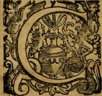 An illustration from L'historia ecclesiastica della rivolvzion d'Inghilterra : divisa in libri qvattro, ne' qvali si tratta di qvello ch'e avvenvto in quell'isola, da chè Arrigo Ottauo cominciò à pensare di ripudiar Caterina sua legittima moglie, infino à quest'vltimi anni di Lisabetta, vltima sua figliuola (1594)