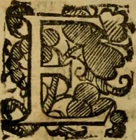 An illustration from L'historia ecclesiastica della rivolvzion d'Inghilterra : divisa in libri qvattro, ne' qvali si tratta di qvello ch'e avvenvto in quell'isola, da chè Arrigo Ottauo cominciò à pensare di ripudiar Caterina sua legittima moglie, infino à quest'vltimi anni di Lisabetta, vltima sua figliuola (1594)