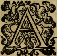 An illustration from L'historia ecclesiastica della rivolvzion d'Inghilterra : divisa in libri qvattro, ne' qvali si tratta di qvello ch'e avvenvto in quell'isola, da chè Arrigo Ottauo cominciò à pensare di ripudiar Caterina sua legittima moglie, infino à quest'vltimi anni di Lisabetta, vltima sua figliuola (1594)