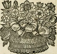 An illustration from L'homme, et la formation du foetus (1677)