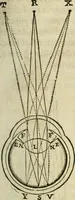 An illustration from L'homme, et la formation du foetus (1677)
