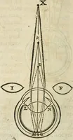 An illustration from L'homme, et la formation du foetus (1677)
