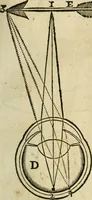 An illustration from L'homme, et la formation du foetus (1677)
