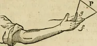 An illustration from L'homme, et la formation du foetus (1677)