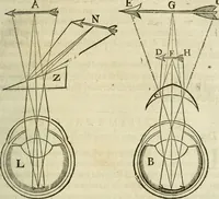 An illustration from L'homme, et la formation du foetus (1677)