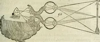 An illustration from L'homme, et la formation du foetus (1677)