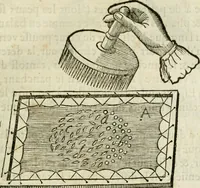 An illustration from L'homme, et la formation du foetus (1677)