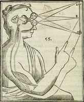 An illustration from L'homme, et la formation du foetus (1677)