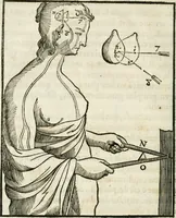 An illustration from L'homme, et la formation du foetus (1677)