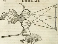An illustration from L'homme, et la formation du foetus (1677)