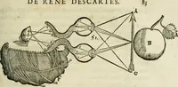 An illustration from L'homme, et la formation du foetus (1677)