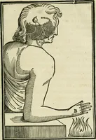 Picture 52 of 91 from L'homme, et la formation du foetus (1677), leaf 156