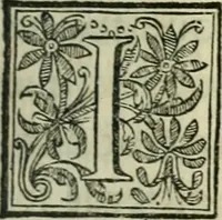 An illustration from L'homme, et la formation du foetus (1677)