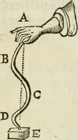 An illustration from L'homme, et la formation du foetus (1677)