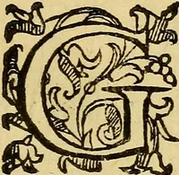 An illustration from L'hospidale de' pazzi incurabili (1617)