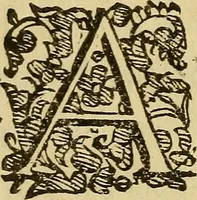 An illustration from L'hospidale de' pazzi incurabili (1617)