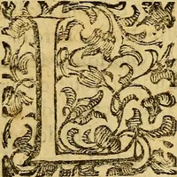 An illustration from L'hospidale de' pazzi incurabili (1617)