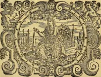 An illustration from L'hospidale de' pazzi incurabili (1617)