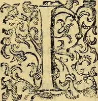 An illustration from L'hospidale de' pazzi incurabili (1617)