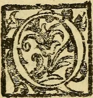 An illustration from L'hospidale de' pazzi incurabili (1617)