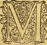 An illustration from L'Hystoire des devx nobles et tres vaillans chevaliers nommez Milles et Amys, : Lesquels en leur viuant furent plains de grandes proësses. Contenant plusieurs et diuerses matieres, comme vous pourrez veoir cy apres (1611)