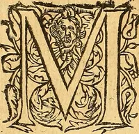 Picture 22 of 107 from L'Hystoire des devx nobles et tres vaillans chevaliers nommez Milles et Amys, : Lesquels en leur viuant furent plains de grandes proësses. Contenant plusieurs et diuerses matieres, comme vous pourrez veoir cy apres (1611), leaf 35