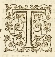 An illustration from A libell of Spanish lies: : found at the sacke of Cales, discoursing the fight in the West Indies, twixt the English nauie being fourteene ships and pinasses, and a fleete of twentie saile of the king of Spaines, and of the death of Sir Francis Drake. : With an answere briefely confuting the Spanish lies, and a short relation of the fight according to truth (1596)
