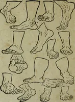 An illustration from Libellus artificiosus omnibus pictoribus, statuarijs, aurifabris, lapidicidis, arcularijs, laminarijs & cultrarijs fabris, sumopere utilis, nec à quae[que] antea uisus, nec prius editus (1539)