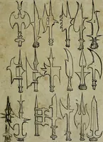 Picture 33 of 57 from Libellus artificiosus omnibus pictoribus, statuarijs, aurifabris, lapidicidis, arcularijs, laminarijs & cultrarijs fabris, sumopere utilis, nec à quae[que] antea uisus, nec prius editus (1539), leaf 40