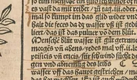 An illustration from Liber der arte distulandi simplicia et composita : das nüv bůch d[er] rechte[n] Kunst zů distilliere[n] (1509)
