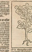 An illustration from Liber der arte distulandi simplicia et composita : das nüv bůch d[er] rechte[n] Kunst zů distilliere[n] (1509)