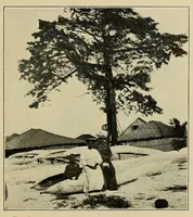 Picture 4 of 6 from Liberia (1907), leaf 23