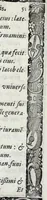 An illustration from Liber precationvm : qvas Carolvs Calvvs, imperator Hludouici Pij caesaris filius, sibi adolescenti pro quotidiano vsuante años vigintiquinq[ue] supra septingentos in vnum colligi & literis scribi aureis mandauit : in honorem et vsvm serenissimi principis Maximiliani ... : nunc primum in lucem editus & posteritati communicatus (1583)