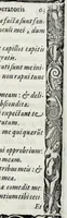 Picture 14 of 23 from Liber precationvm : qvas Carolvs Calvvs, imperator Hludouici Pij caesaris filius, sibi adolescenti pro quotidiano vsuante años vigintiquinq[ue] supra septingentos in vnum colligi & literis scribi aureis mandauit : in honorem et vsvm serenissimi principis Maximiliani ... : nunc primum in lucem editus & posteritati communicatus (1583), leaf 127