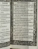Picture 15 of 23 from Liber precationvm : qvas Carolvs Calvvs, imperator Hludouici Pij caesaris filius, sibi adolescenti pro quotidiano vsuante años vigintiquinq[ue] supra septingentos in vnum colligi & literis scribi aureis mandauit : in honorem et vsvm serenissimi principis Maximiliani ... : nunc primum in lucem editus & posteritati communicatus (1583), leaf 129
