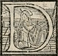 Picture 39 of 50 from Liber scintillarum : opus (1560), leaf 213