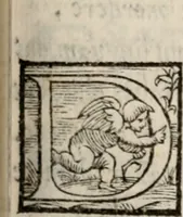 Picture 41 of 50 from Liber scintillarum : opus (1560), leaf 218