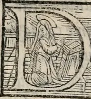 Picture 46 of 50 from Liber scintillarum : opus (1560), leaf 269