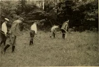 An illustration from The library at work and play (1912)