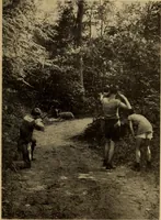 An illustration from The library at work and play (1912)