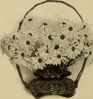 Picture 11 of 60 from The library at work and play (1912), leaf 41