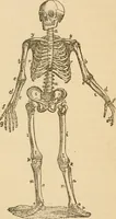 An illustration from Library of mesmerism and psychology (1871)