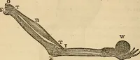 An illustration from Library of mesmerism and psychology (1871)