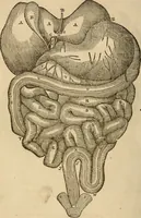 Picture 6 of 33 from Library of mesmerism and psychology (1871), leaf 315
