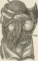 Picture 7 of 33 from Library of mesmerism and psychology (1871), leaf 316