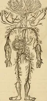 Picture 11 of 33 from Library of mesmerism and psychology (1871), leaf 321