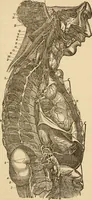 Picture 17 of 33 from Library of mesmerism and psychology (1871), leaf 332